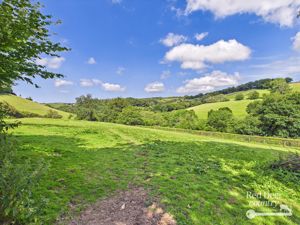 Paddock- click for photo gallery